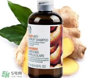 美體小鋪生姜洗發(fā)水怎么樣？the body shop生姜洗發(fā)水使用心得