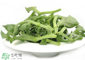 ?冰草為什么會(huì)酸？冰草為什么是酸的？
