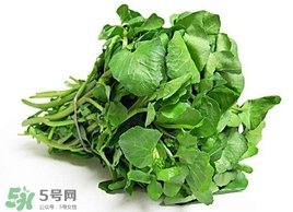 哺乳期能吃西洋菜嗎？哺乳期可以吃西洋菜嗎