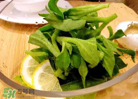 冰草用什么醬？冰草用什么醬好吃？