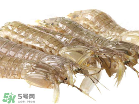 蝦爬子什么季節(jié)最肥？蝦爬子幾月份最肥？