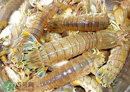 蝦爬子能冷凍嗎？蝦爬子可以冷藏嗎？