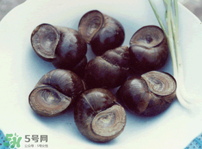 田螺不能和什么一起吃？田螺和什么不能一起吃？