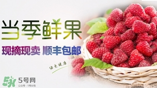 刺泡是覆盆子嗎？刺泡和覆盆子的區(qū)別