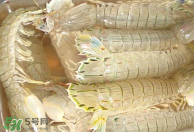 蝦爬子綠色怎么回事？蝦爬子變黑還能吃嗎？