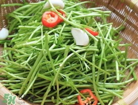 泥蒿怎么做好吃？泥蒿做法