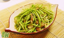 蘆蒿與茼蒿有什么區(qū)別？蘆蒿和茼蒿的區(qū)別