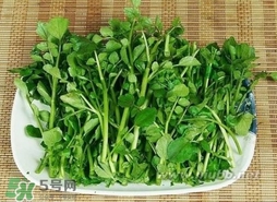 哺乳期能吃西洋菜嗎？哺乳期可以吃西洋菜嗎