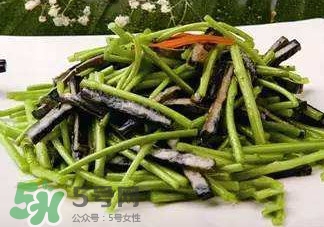 蘆蒿怎么摘？蘆蒿怎么擇