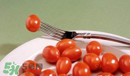 圣女果是什么？圣女果是西紅柿嗎