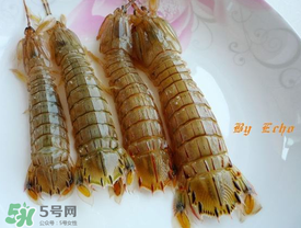 蝦爬子能放多久？蝦爬子怎么保存時間長？