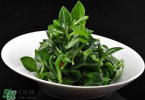 冰草是田七嗎？冰草和田七一樣嗎？