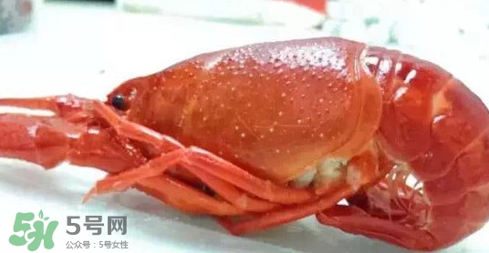 蝦子哪些部位不能吃？蝦子哪些地方不能吃