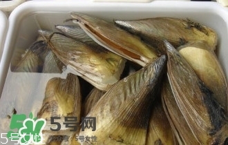 青口貝如何清洗？青口貝怎么處理
