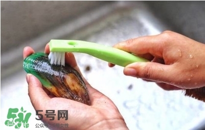 青口貝如何清洗？青口貝怎么處理