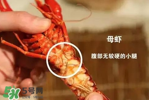 蝦子怎么吃？蝦子的吃法