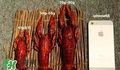 蝦子怎么吃？蝦子的吃法