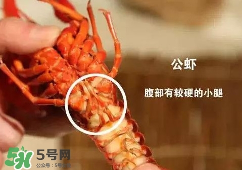 蝦子怎么吃？蝦子的吃法