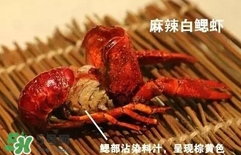 蝦子怎么吃？蝦子的吃法