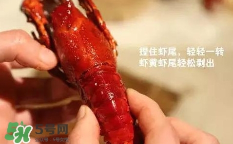 蝦子怎么吃？蝦子的吃法