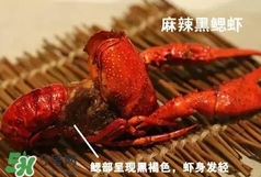 蝦子怎么吃？蝦子的吃法