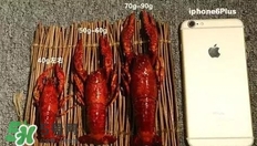 蝦子怎么吃？蝦子的吃法