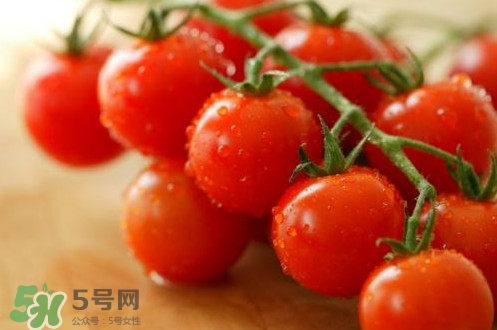 小番茄怎么洗？小番茄怎么清洗