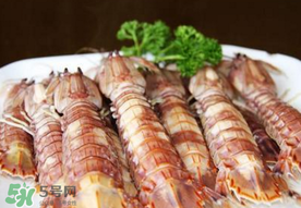 蝦爬子是寒性的嗎？蝦爬子是熱性的還是寒性的？