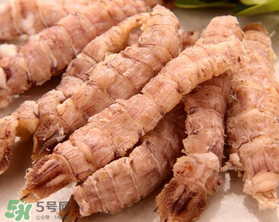 蝦爬子是皮皮蝦嗎？皮皮蝦和蝦爬子的區(qū)別