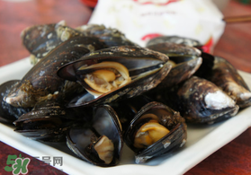 淡菜什么時候最肥？淡菜什么時候吃最好？