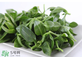冰菜和穿心蓮是同一種菜嗎？冰菜和穿心蓮是一科嗎？