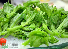 冰菜孕婦能吃嗎？孕婦能不能吃冰菜？