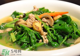 冰菜孕婦能吃嗎？孕婦能不能吃冰菜？