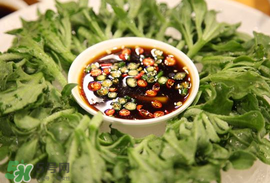 冰菜怎么涼拌？冰菜可以用沙拉醬拌嗎？