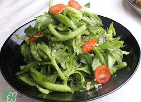 冰菜怎么涼拌？冰菜可以用沙拉醬拌嗎？