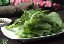 冰菜可以生吃嗎？冰菜能生吃嗎？