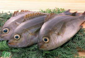 蠶豆和魚能一起吃嗎？蠶豆和魚吃相克嗎？