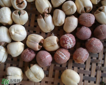 芡實(shí)不能和什么一起吃？芡實(shí)不能與什么同食？