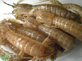 瀨尿蝦是皮皮蝦嗎？瀨尿蝦和皮皮蝦的區(qū)別