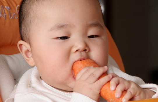 胡蘿卜與什么不能同食？胡蘿卜不能和什么一起吃