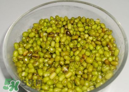煮綠豆湯綠豆要泡嗎？煮綠豆湯綠豆要不要泡
