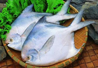 蠶豆和魚(yú)能一起吃嗎？蠶豆和魚(yú)吃相克嗎？