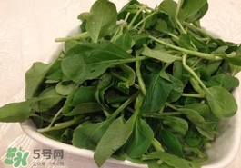 雞毛菜怎么做？雞毛菜的做法