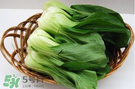 雞毛菜怎么種？雞毛菜的種植方法