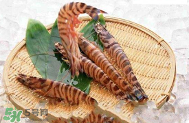 蝦爬子怎么扒皮？蝦爬子怎么剝殼？
