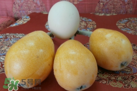 枇杷是什么季節(jié)的水果？枇杷什么季節(jié)吃