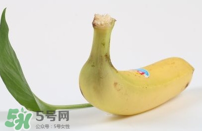 生香蕉怎么放熟？生香蕉怎樣催熟