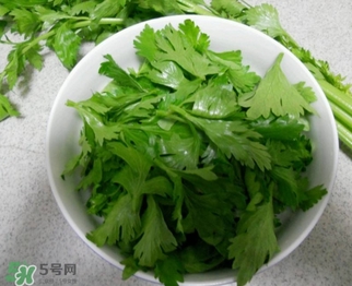 芹菜葉能吃嗎？芹菜葉可以吃嗎