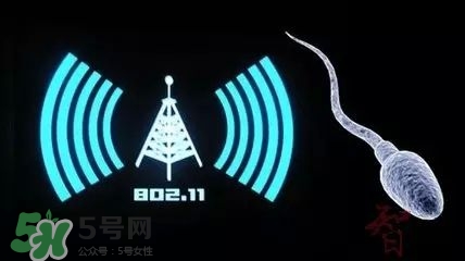 wifi殺精嗎？wifi殺精是真的嗎？