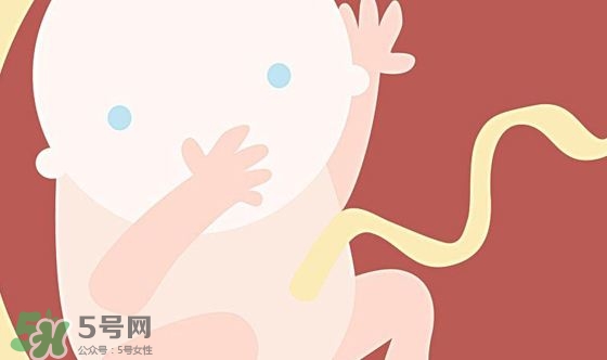 胎兒發(fā)育關(guān)鍵時(shí)期是什么時(shí)候？胎兒發(fā)育黃金期